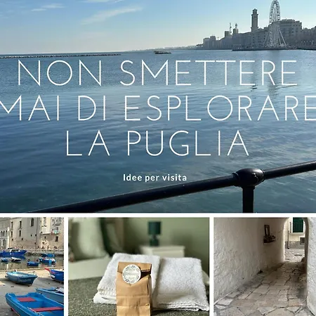 住宿加早餐酒店 Botanical